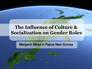 The Influence of Culture &amp; Socialization on Gender Roles