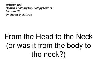 Biology 323 Human Anatomy for Biology Majors Lecture 18 Dr. Stuart S. Sumida