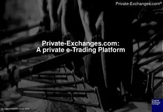 Private-Exchanges: A private e-Trading Platform
