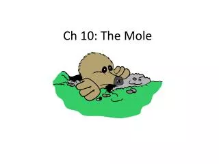 Ch 10: The Mole