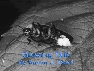 Glowing Talk By Susan J. Tweit