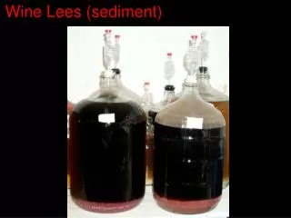 Wine Lees (sediment)