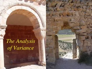 The Analysis of Variance