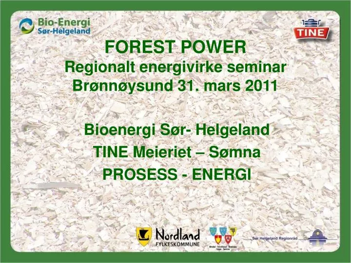 forest power regionalt energivirke seminar br nn ysund 31 mars 2011