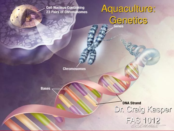 aquaculture genetics
