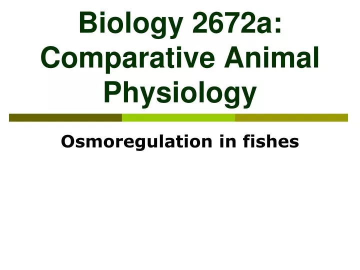 biology 2672a comparative animal physiology