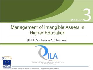 Management of Intangible Assets in Higher Education