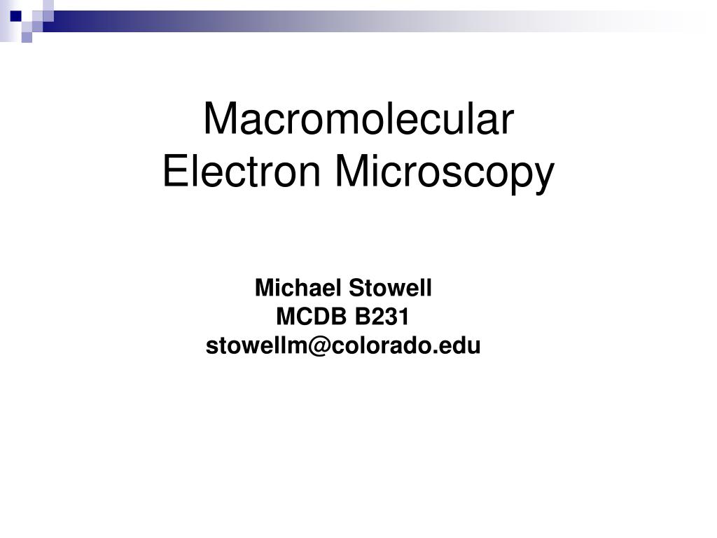 PPT - Macromolecular Electron Microscopy PowerPoint Presentation, free ...
