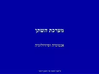 מערכת השתן