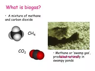 What is biogas?