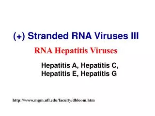 (+) Stranded RNA Viruses III