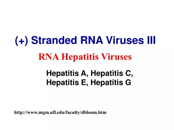 stranded rna viruses iii