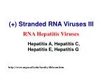 (+) Stranded RNA Viruses III - slide 1