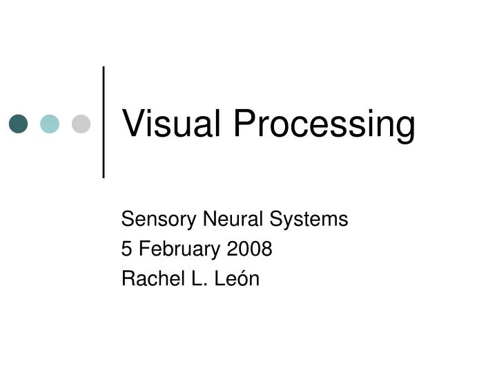 visual processing