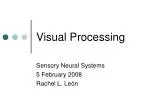 PPT - Visual Information Processing Deficits PowerPoint Presentation ...
