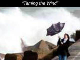 “Taming the Wind”