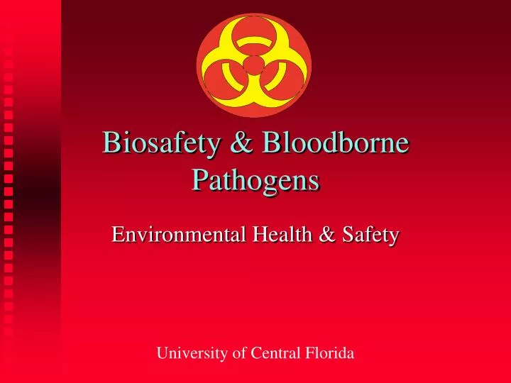 biosafety bloodborne pathogens