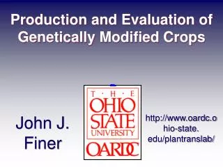 Production and Evaluation of Genetically Modified Crops