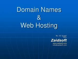 Domain Names &amp; Web Hosting