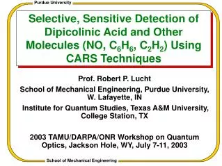 Selective, Sensitive Detection of Dipicolinic Acid and Other Molecules (NO, C 6 H 6 , C 2 H 2 ) Using CARS Techniques