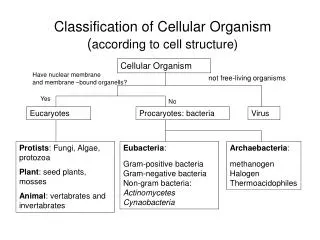 Classification of Cellular Organism ( according to cell structure)