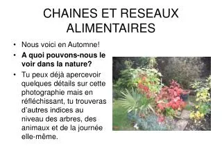 CHAINES ET RESEAUX ALIMENTAIRES