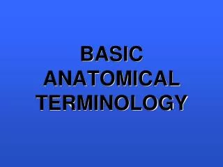 BASIC ANATOMICAL TERMINOLOGY