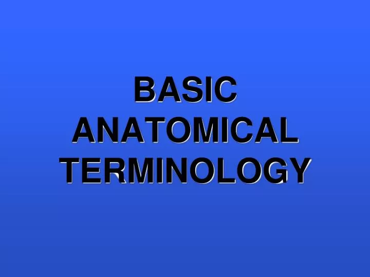 basic anatomical terminology