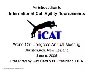 An introduction to International Cat Agility Tournaments