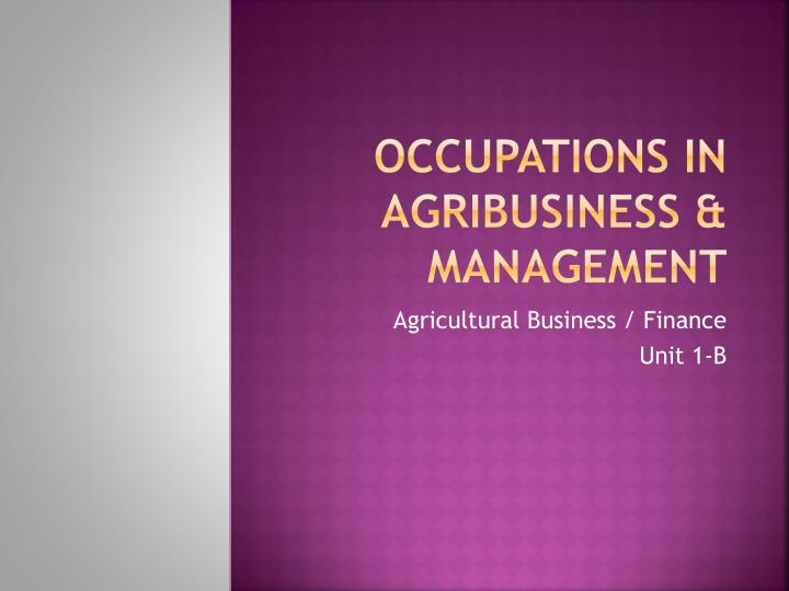 occupations in agribusiness management