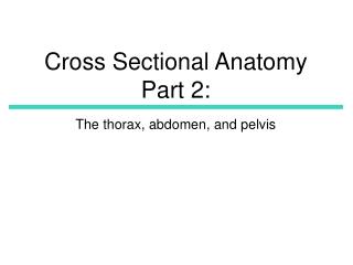 Cross Sectional Anatomy Part 2: