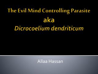 The Evil Mind Controlling Parasite aka Dicrocoelium dendriticum