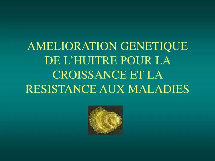 amelioration genetique de l huitre pour la croissance et la resistance aux maladies