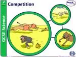 What is competition? - slide 1