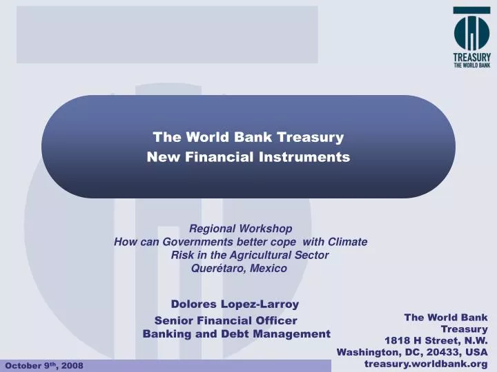 the world bank treasury new financial instruments