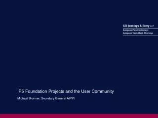 IP5 Foundation Projects and the User Community