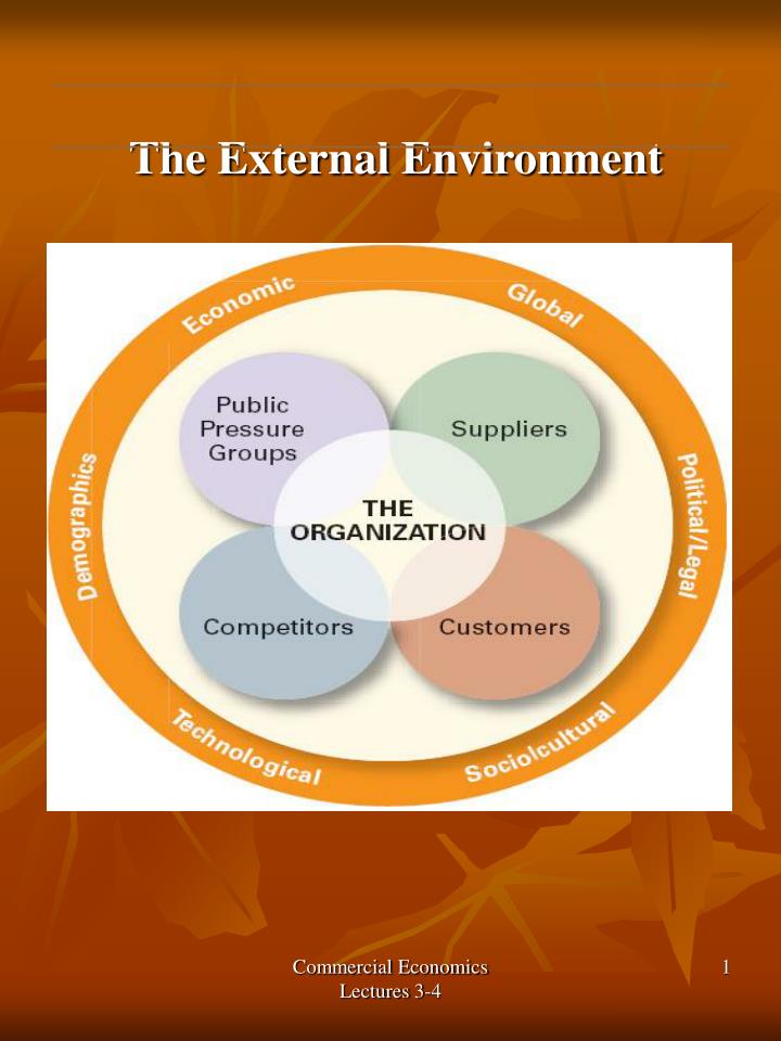 the external environment