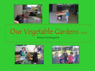 Our Vegetable Gardens 2009 Solway Kindergarten