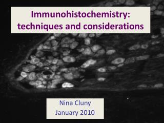 Immunohistochemistry: techniques and considerations