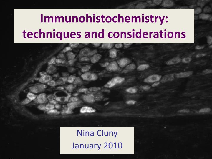 immunohistochemistry techniques and considerations