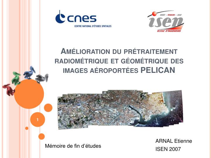 am lioration du pr traitement radiom trique et g om trique des images a roport es pelican