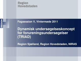 Fagsession V, Vintermøde 2011 Dynamisk undersøgelseskoncept for forureningsundersøgelser (TRIAD) Region Sjælland, Regi