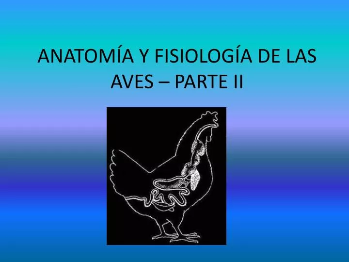 anatom a y fisiolog a de las aves parte ii