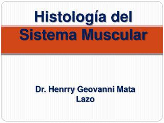 histolog a del sistema muscular