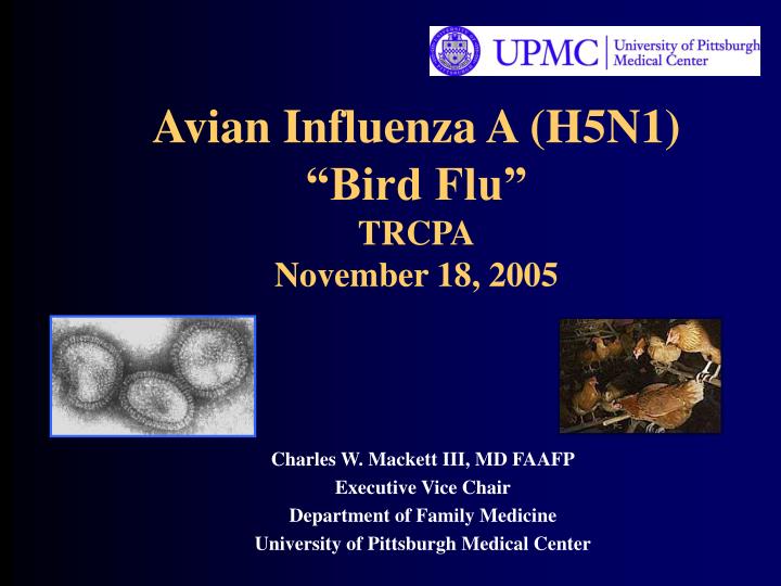 avian influenza a h5n1 bird flu trcpa november 18 2005