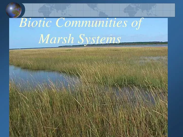 biotic communities of marsh systems
