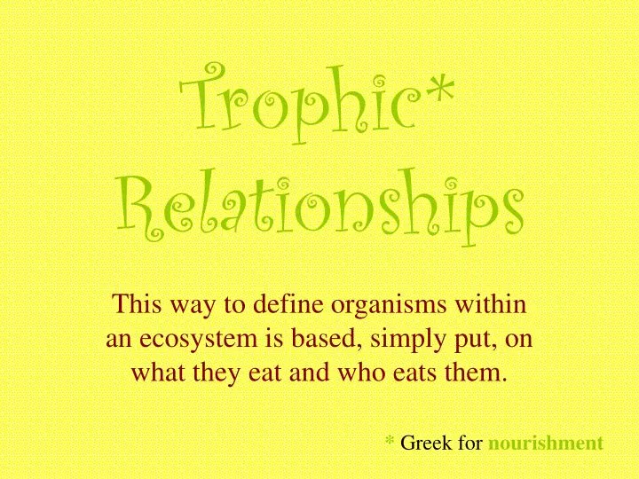 trophic relationships