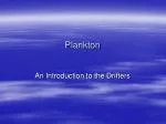 Plankton - slide 1