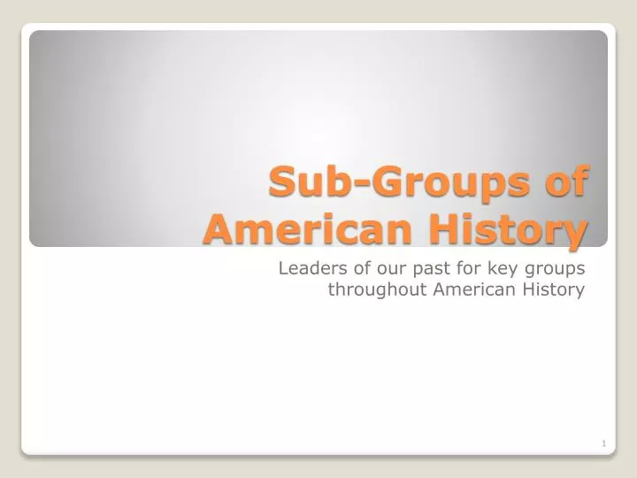 sub groups of american history