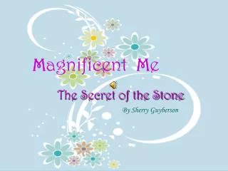 Magnificent Me The Secret Of The Stone